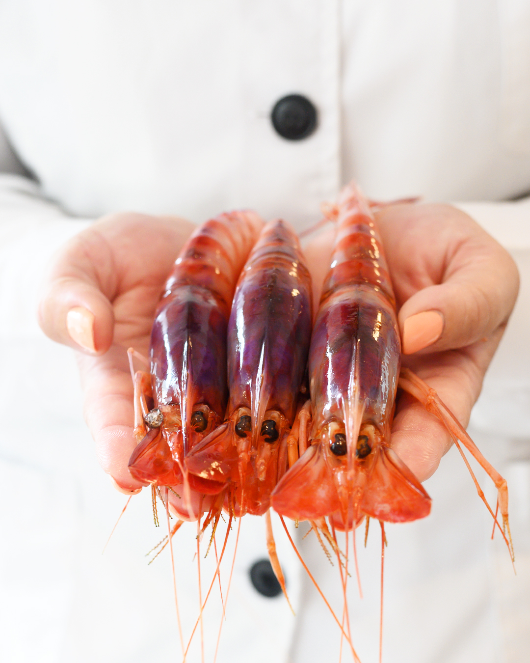 Cala Roche | Pescados y Mariscos