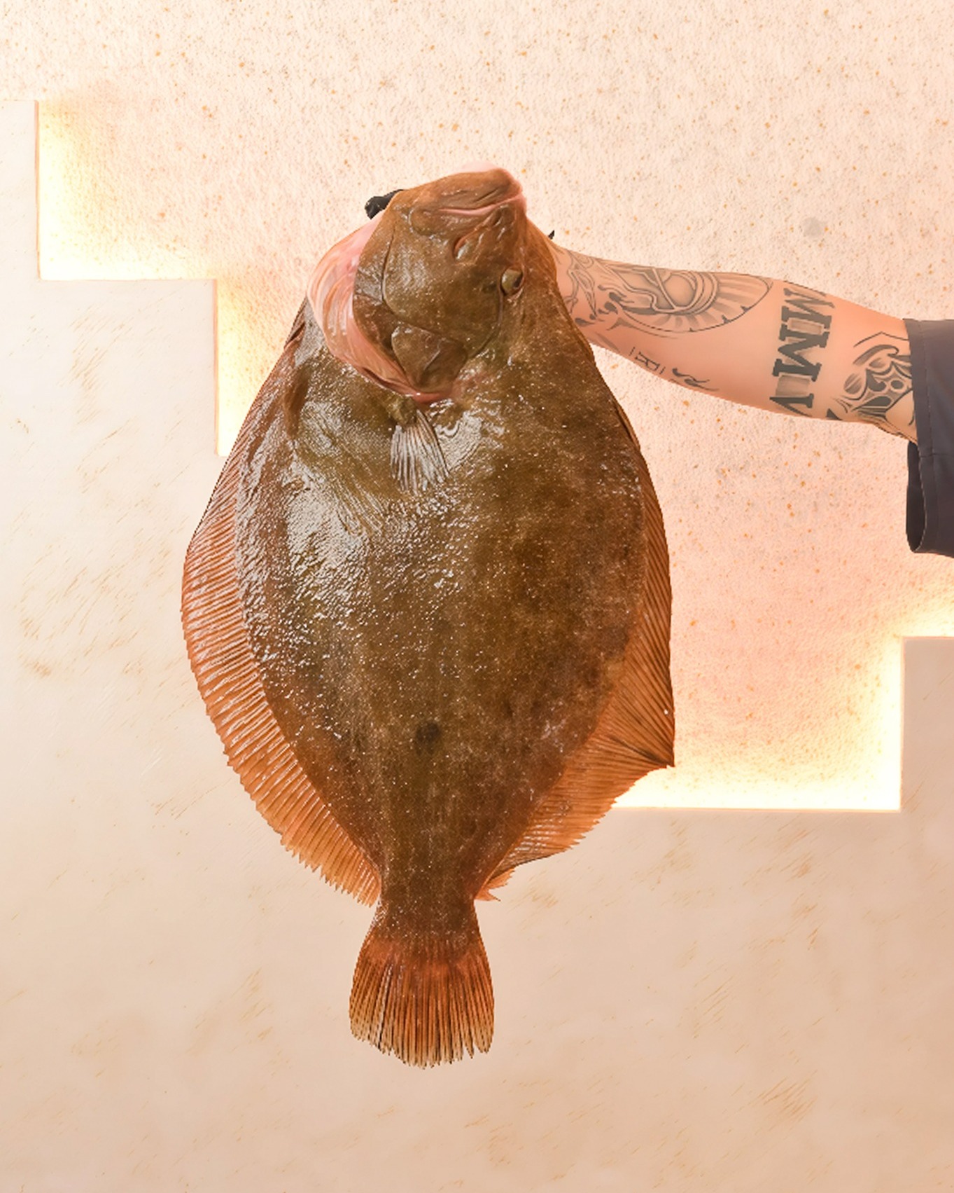 Cala Roche | Pescados y Mariscos
